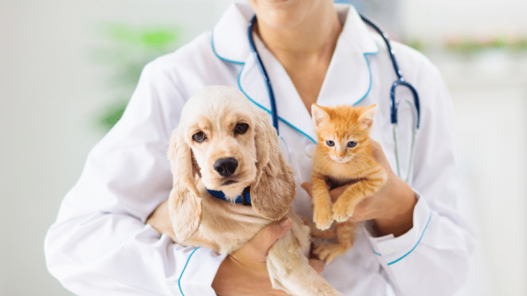 The Importance of Wellness Exams for Your Pet’s Health