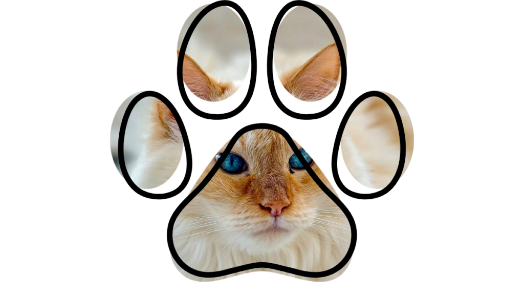 Trusted Local Veterinary Team