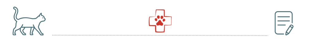 healthy dog supported by pet insurance care at Chase Oaks Animal Clinic Plano TX
