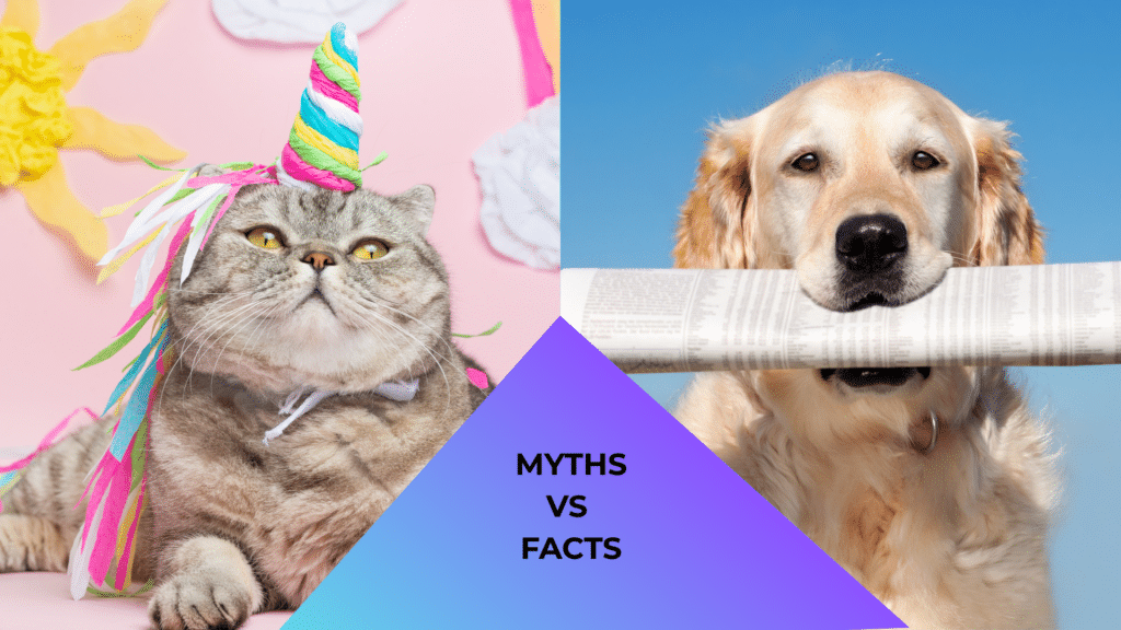 A cat dressed like a unicorn and a dog reading a newspaper representing myths and facts